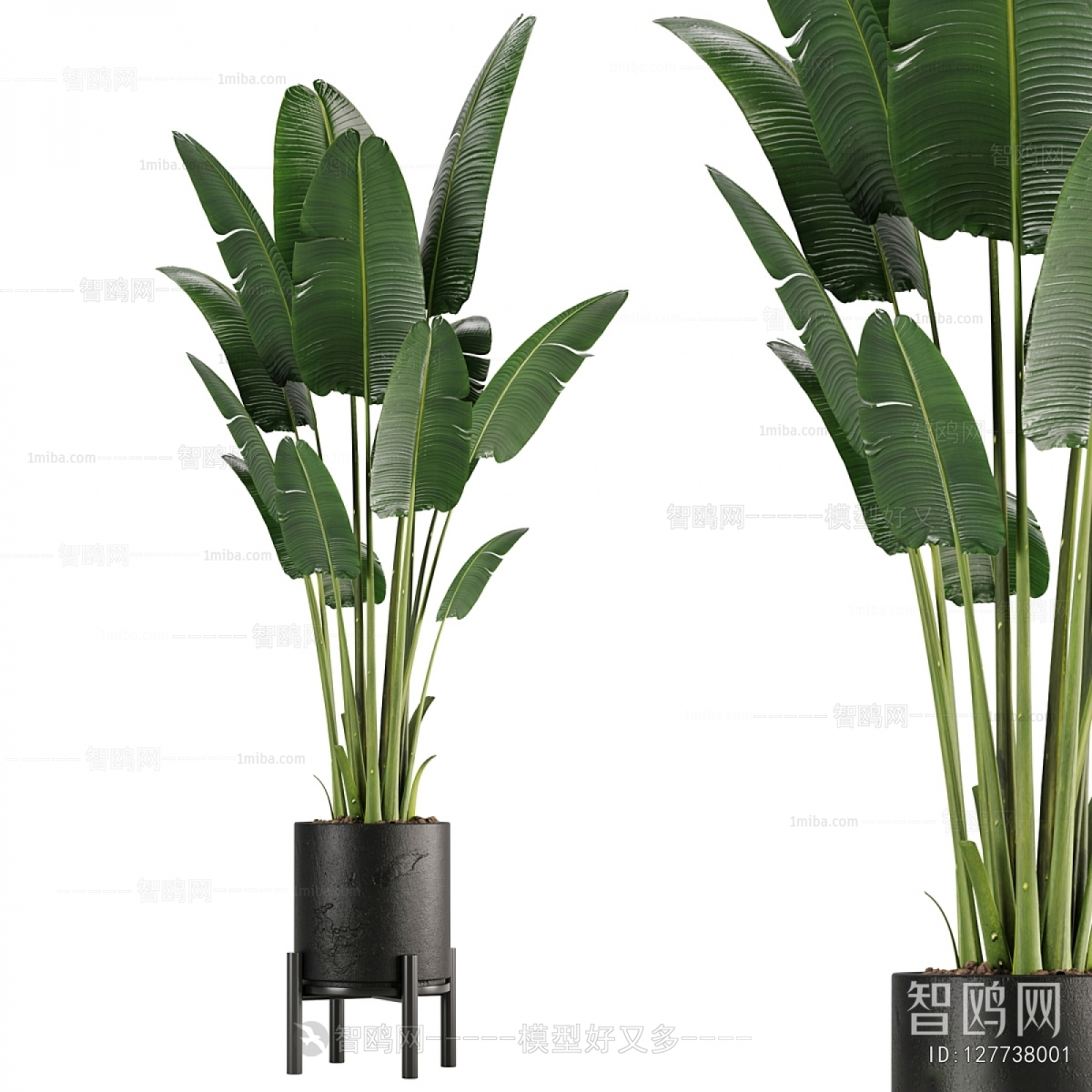 Modern Ground Green Plant Potted Plants