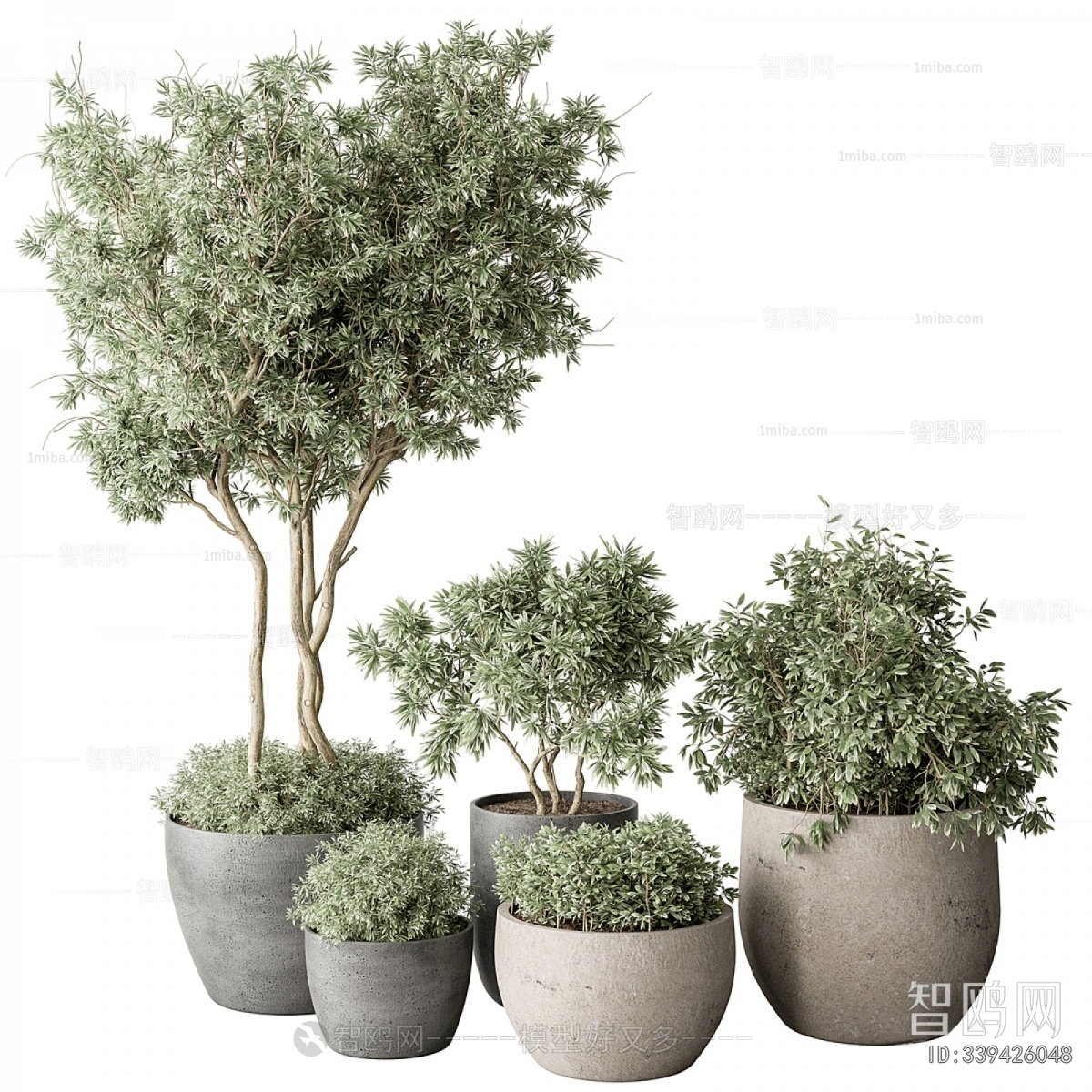 Modern Ground Green Plant Potted Plants