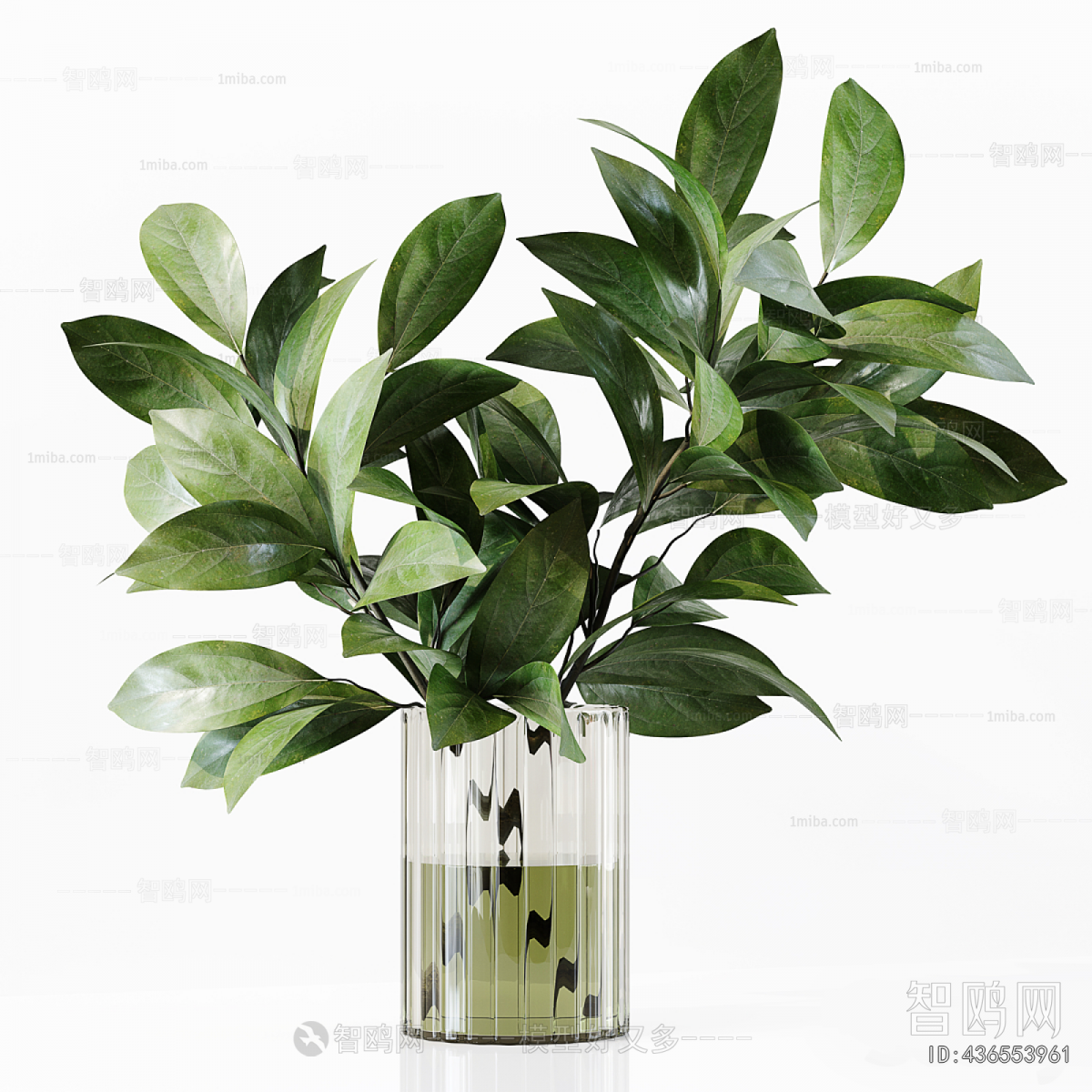 Modern Aquatic Green Plant