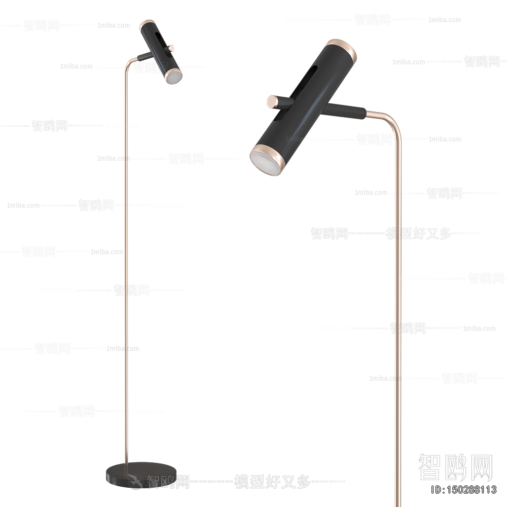 Modern Floor Lamp