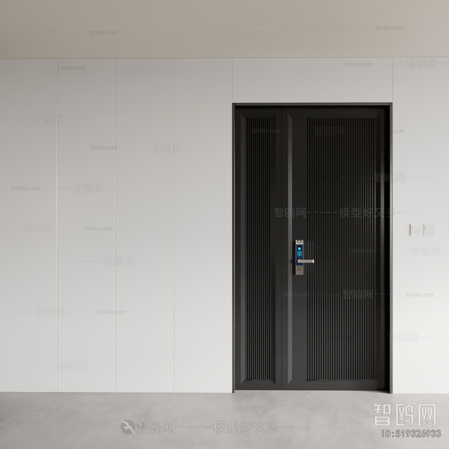 Modern Entrance Door