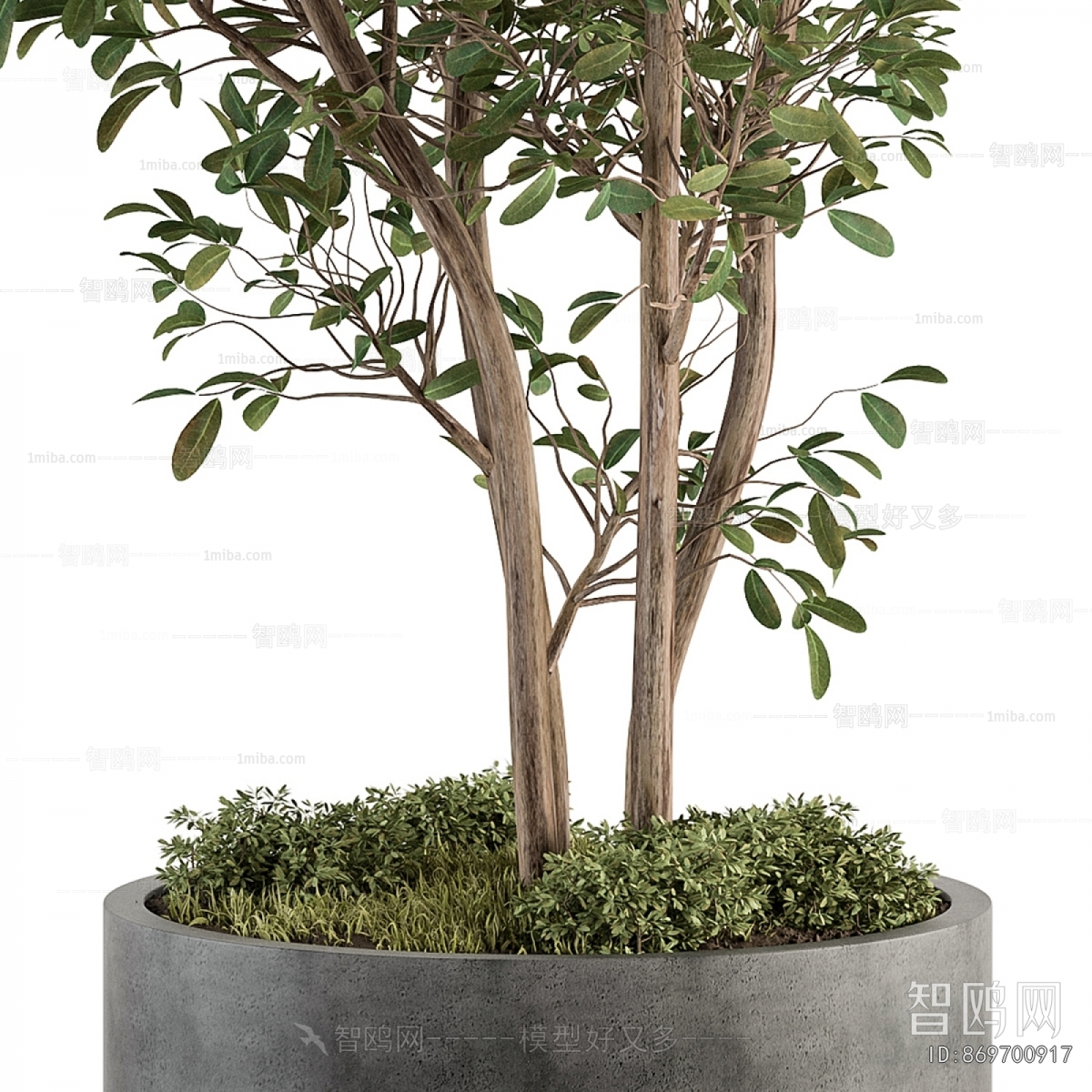 Modern Ground Green Plant Potted Plants