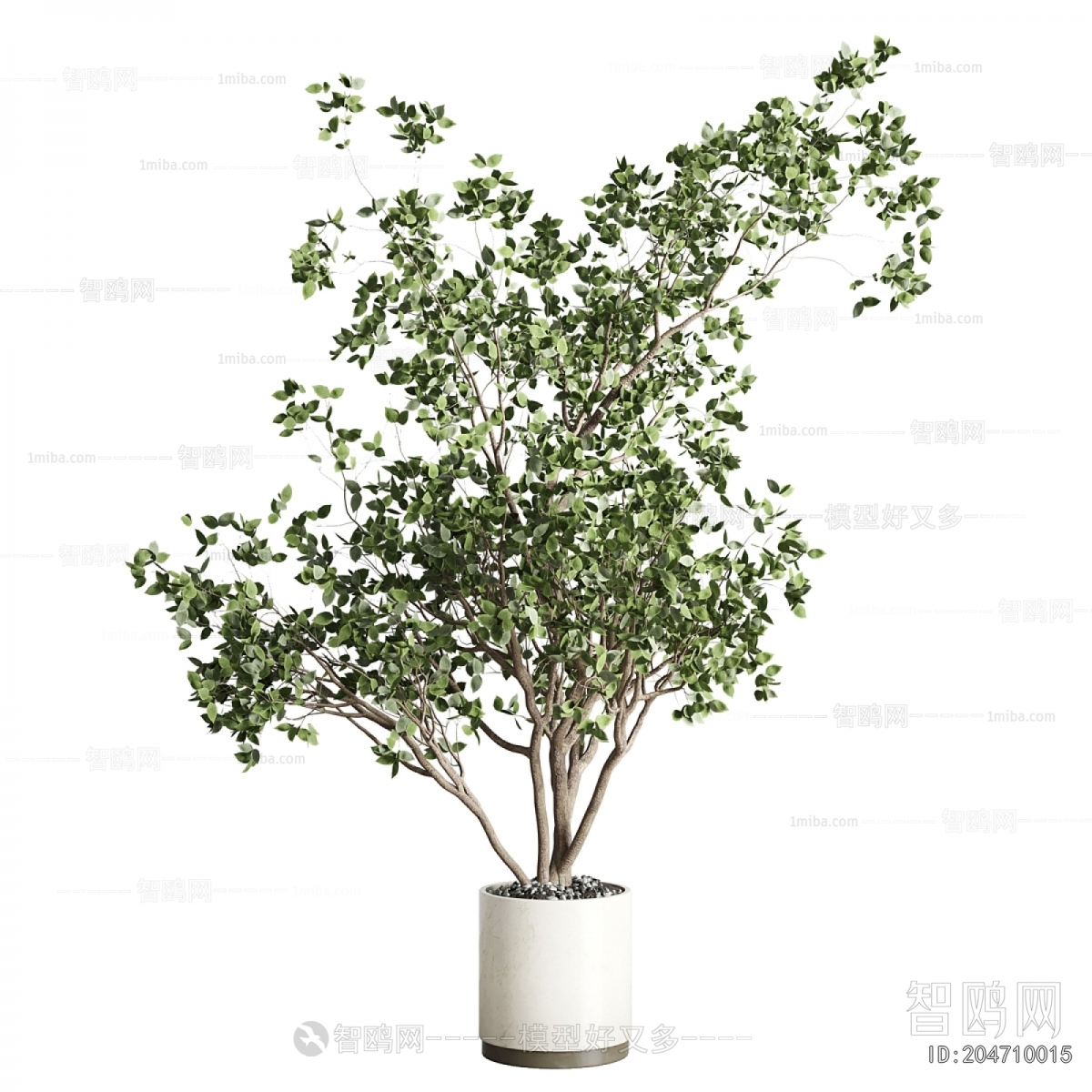 Modern Ground Green Plant Potted Plants