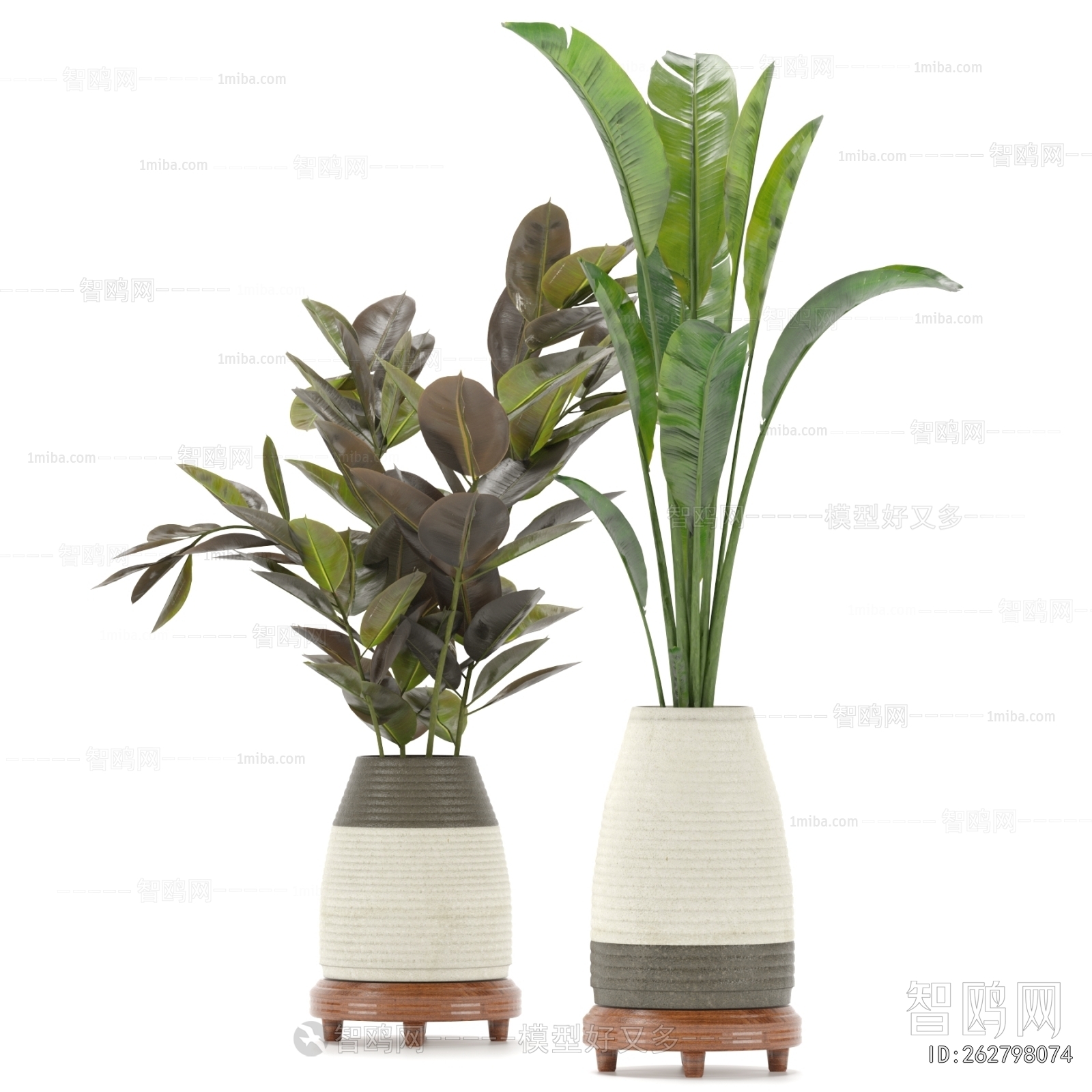 Modern Potted Green Plant