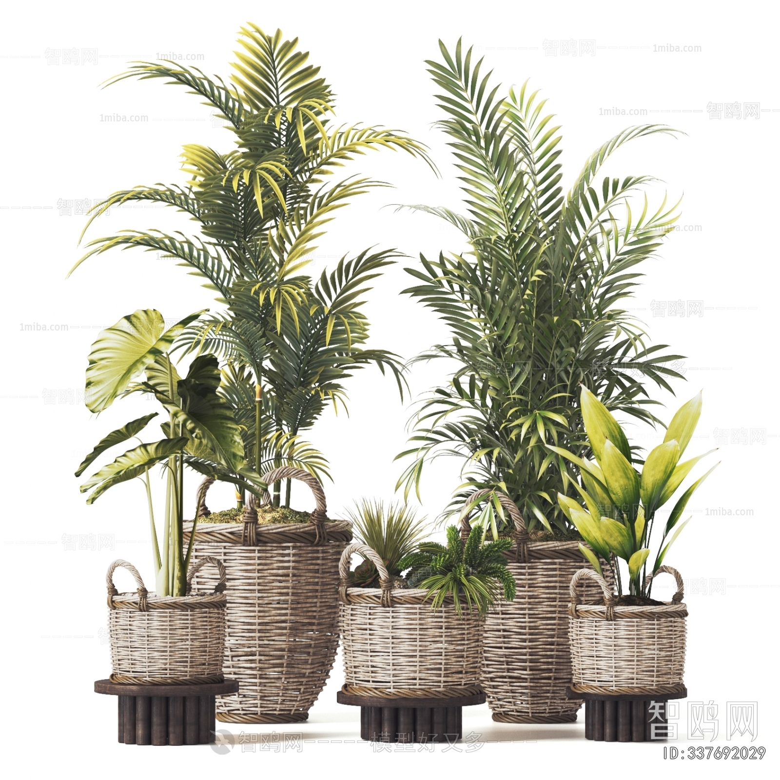 Modern Ground Green Plant Potted Plants