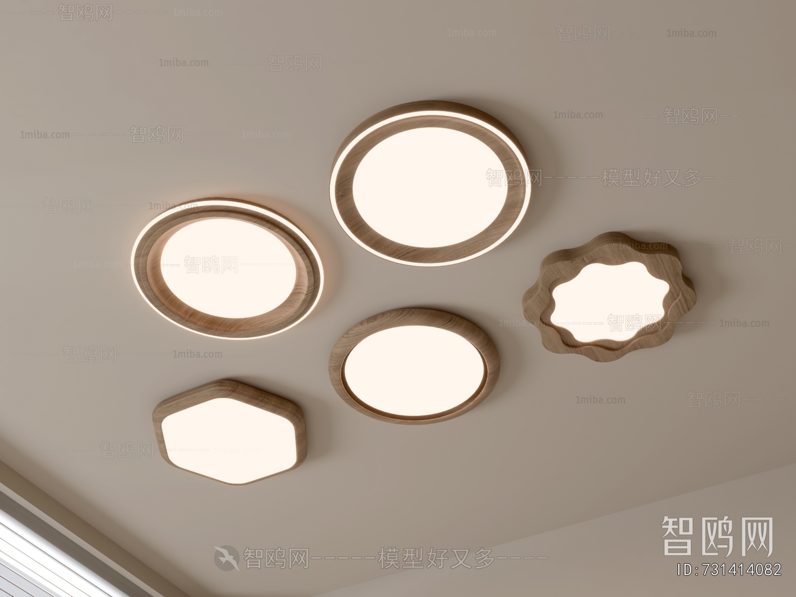 Modern Ceiling Ceiling Lamp