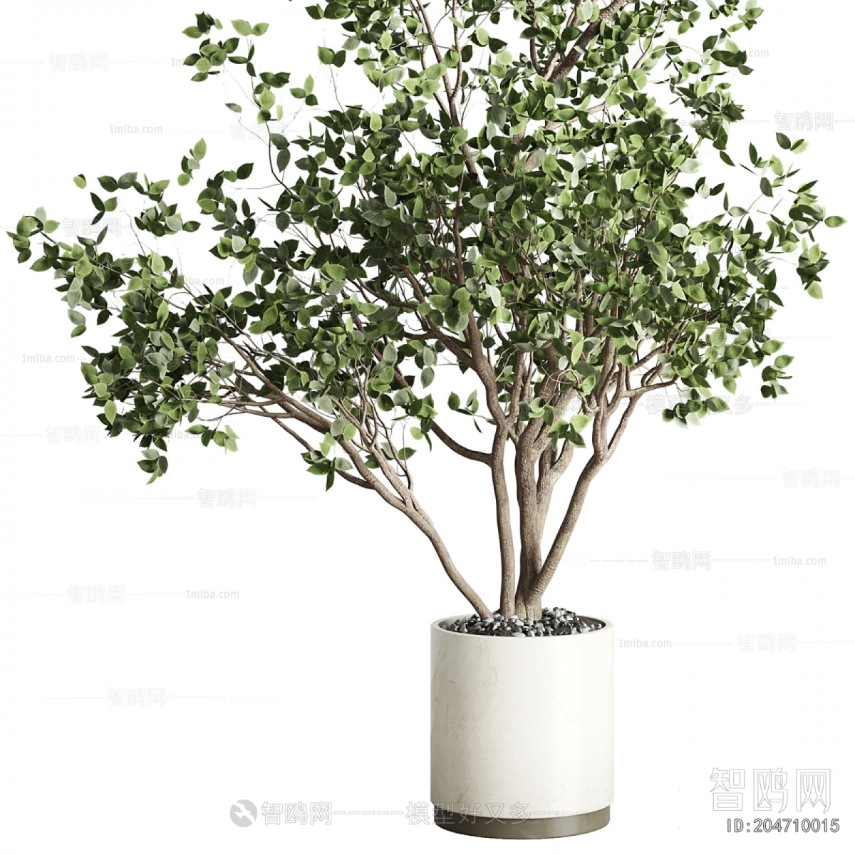 Modern Ground Green Plant Potted Plants