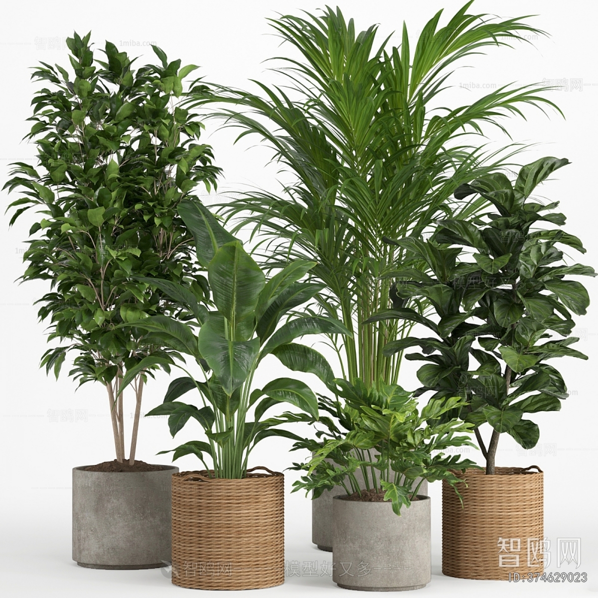 Modern Ground Green Plant Potted Plants