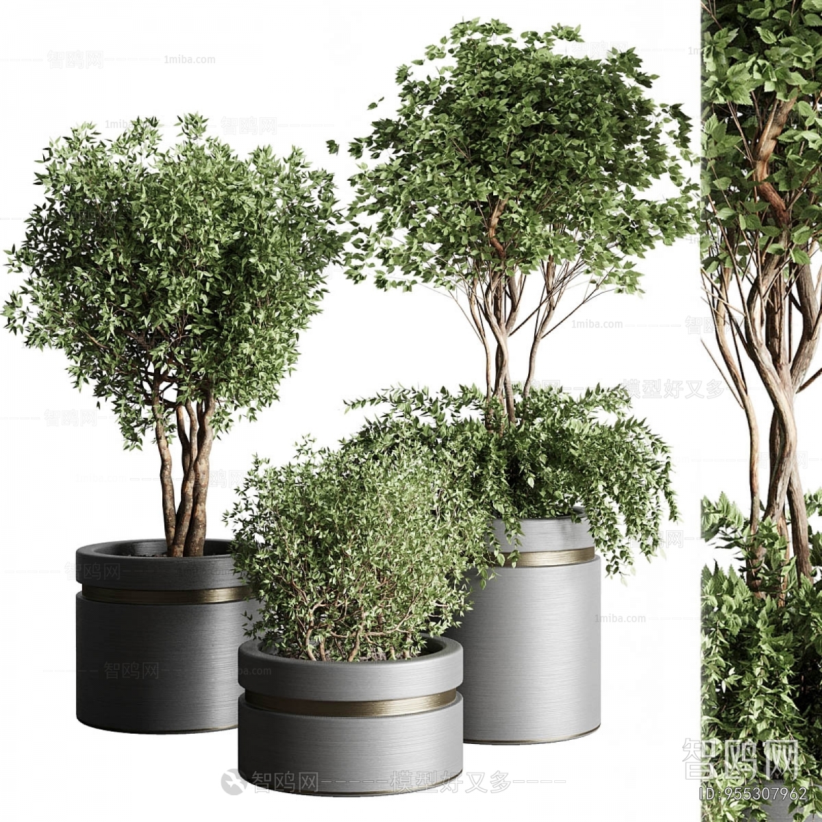 Modern Ground Green Plant Potted Plants