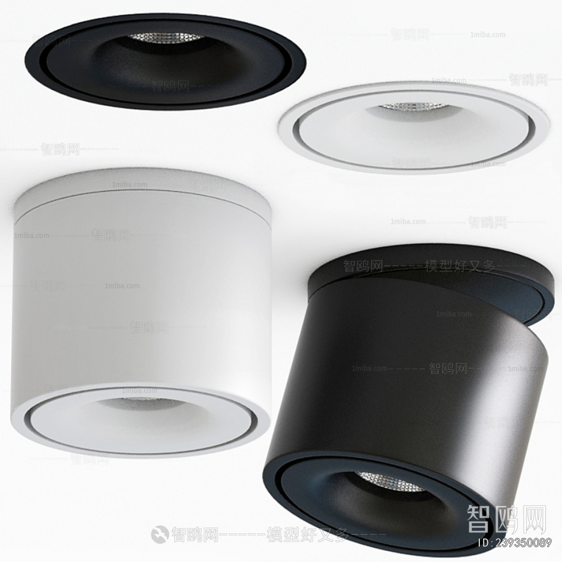 Modern Downlight Spot Light