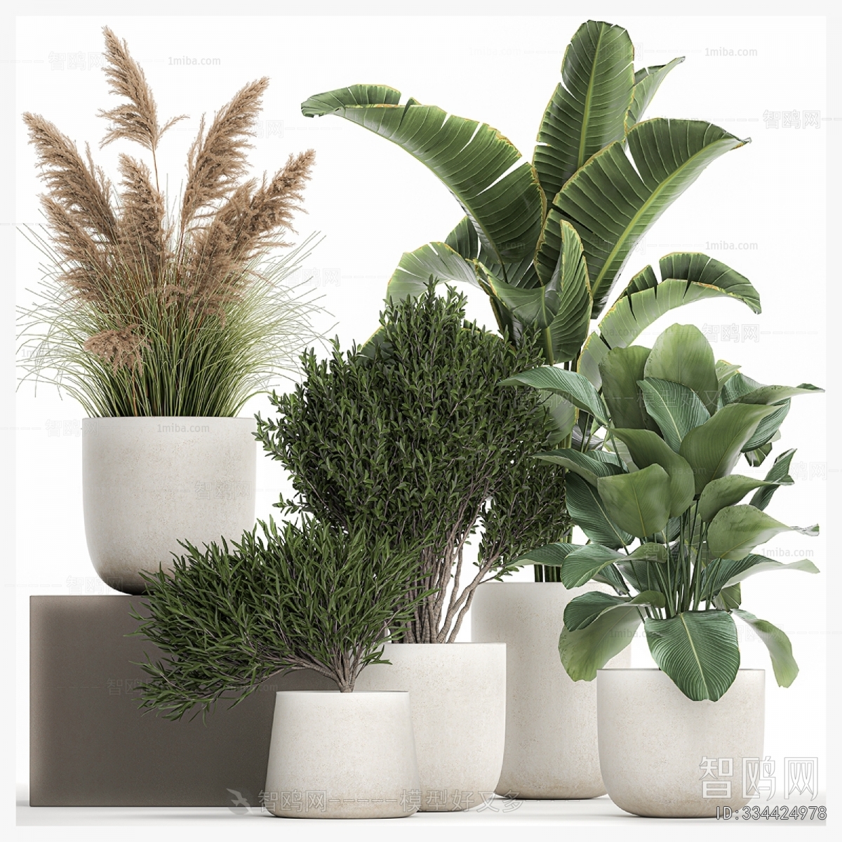 Modern Potted Green Plant