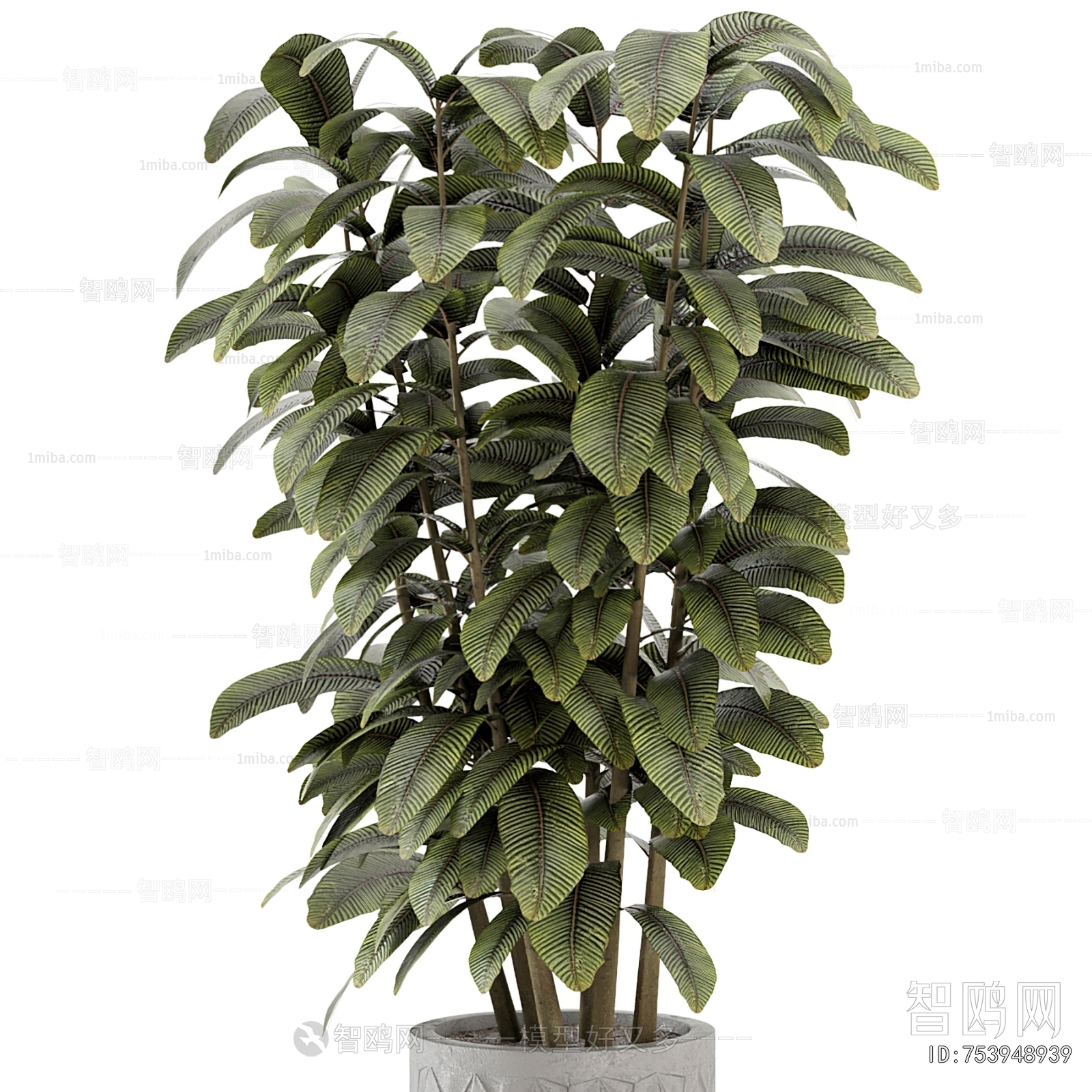 Modern Ground Green Plant Potted Plants