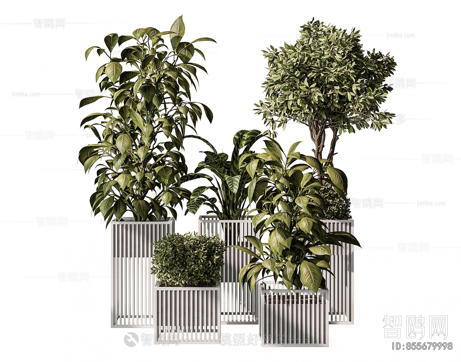 Modern Ground Green Plant Potted Plants