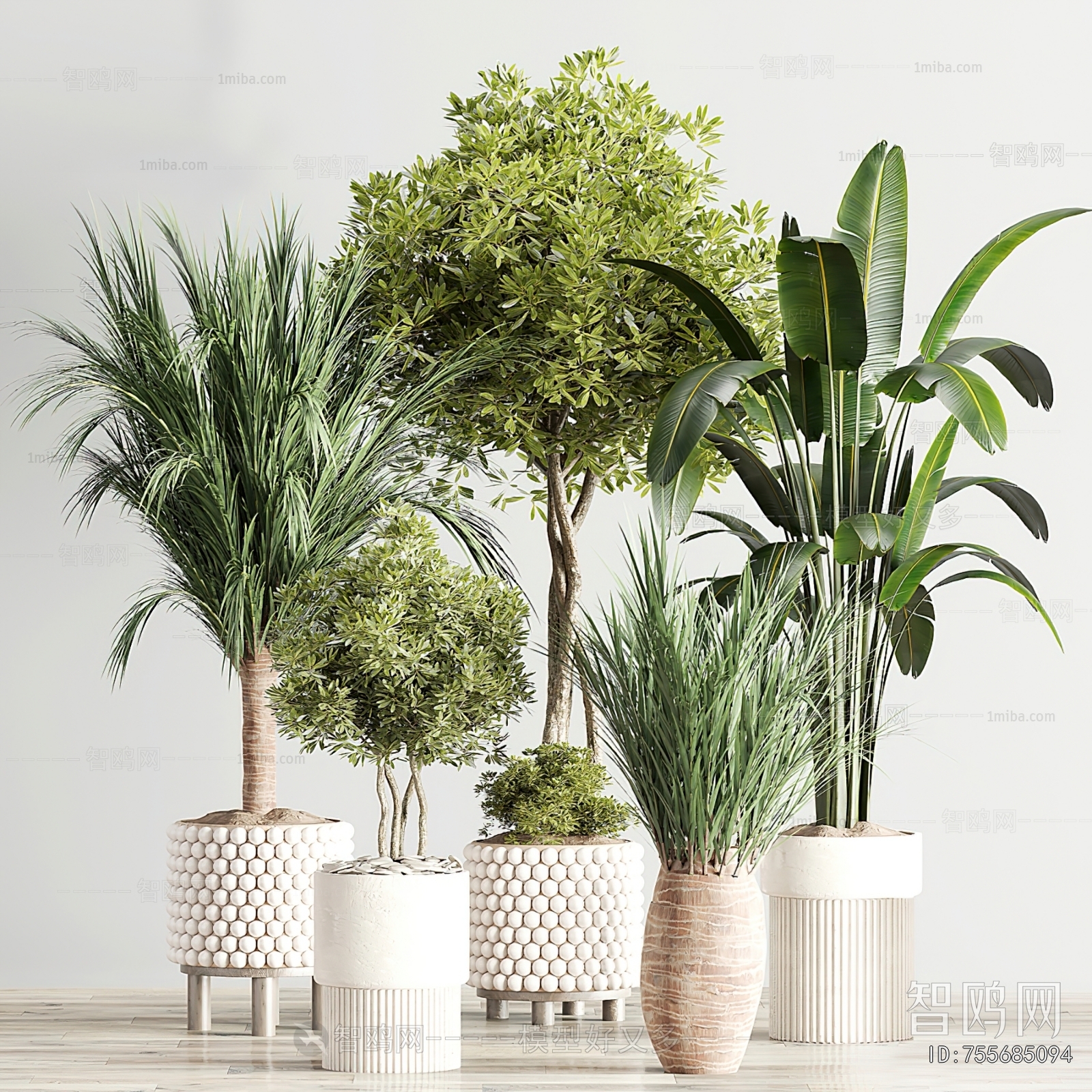 Modern Ground Green Plant Potted Plants