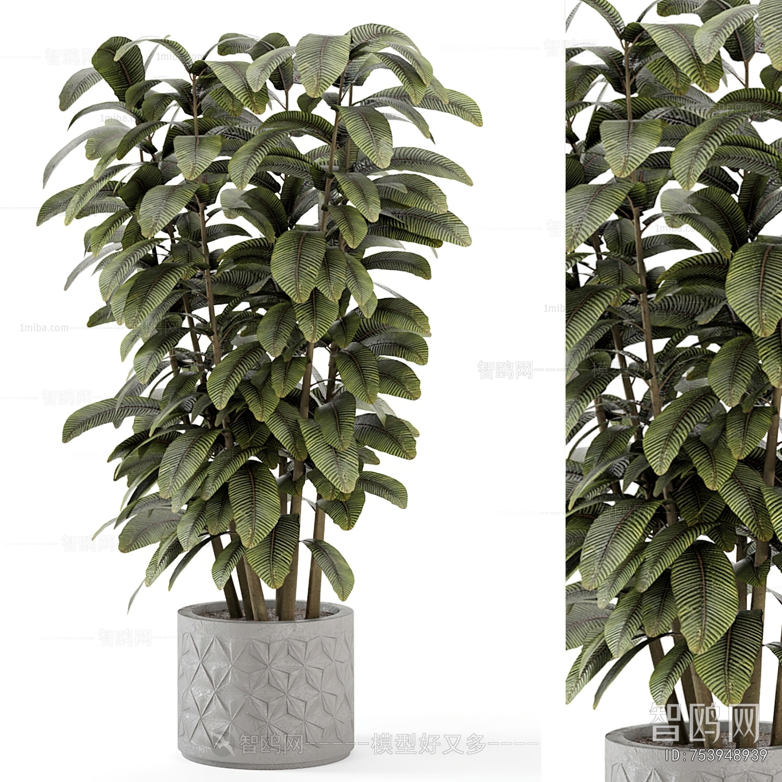 Modern Ground Green Plant Potted Plants