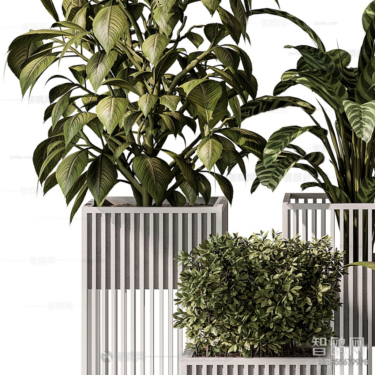 Modern Ground Green Plant Potted Plants