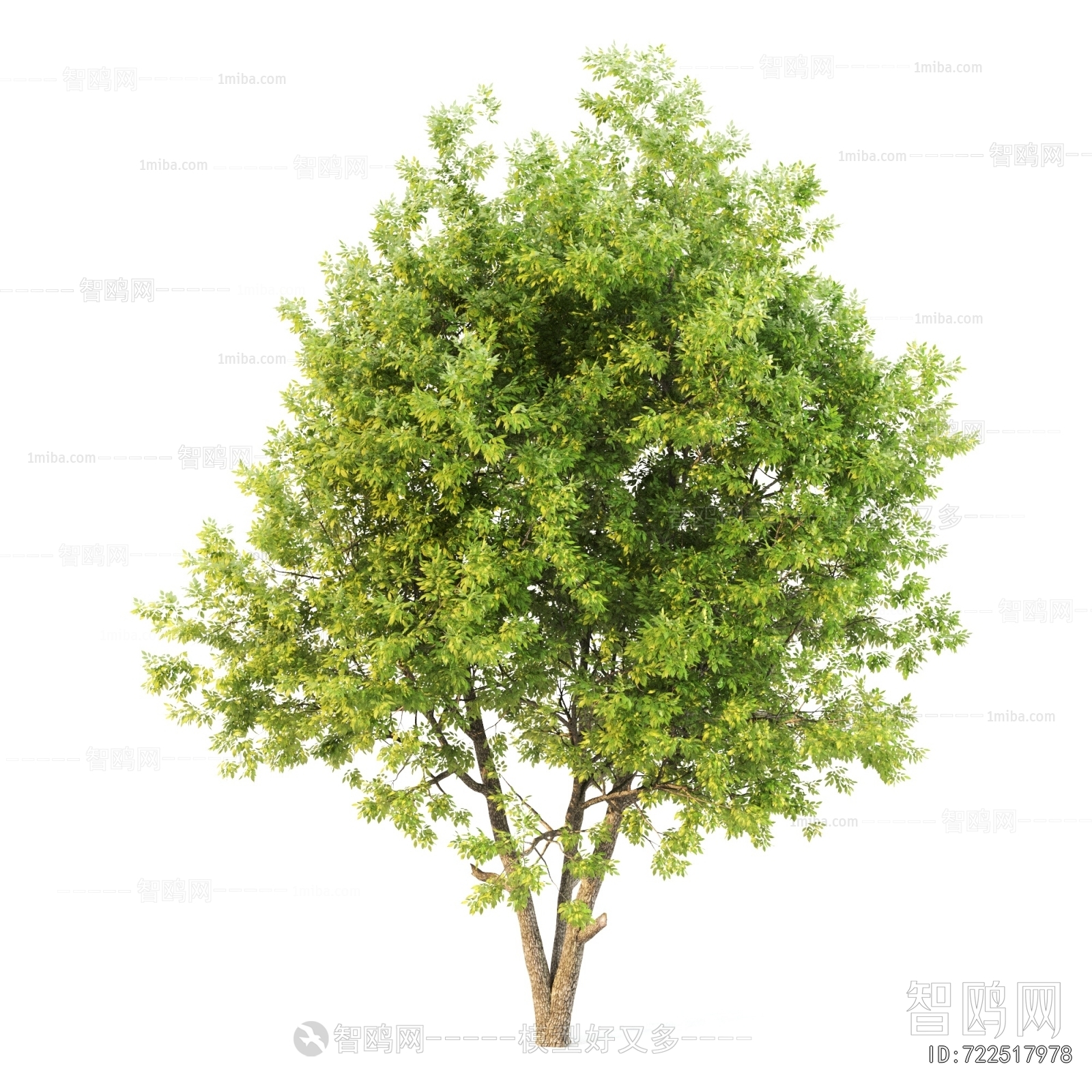 Modern Tree