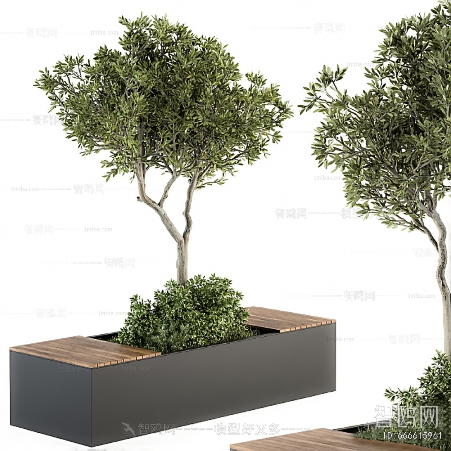 Modern Flower Bed, Flower Bowl, Flower Box