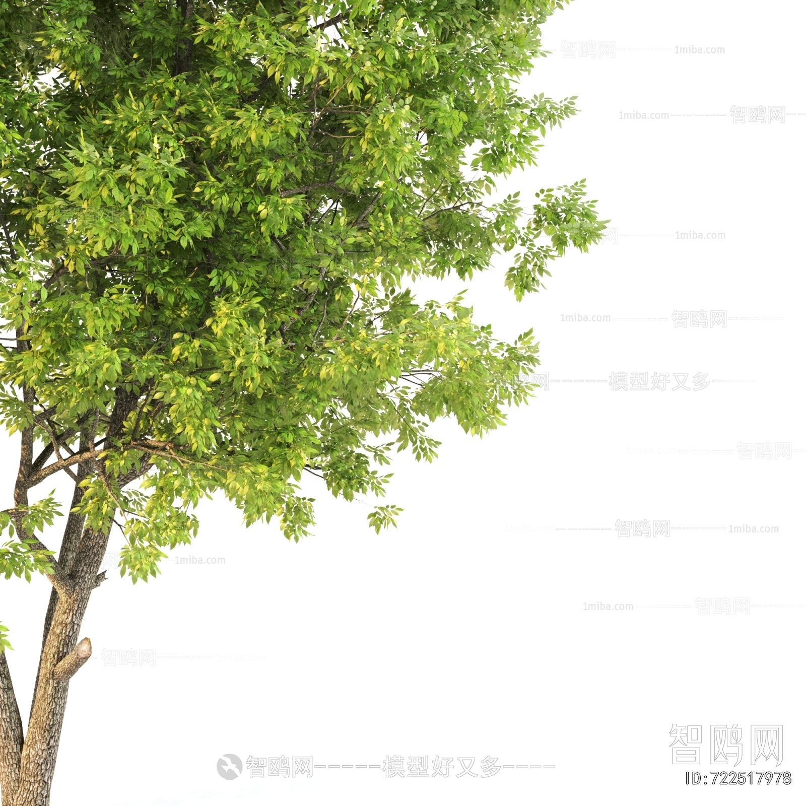 Modern Tree