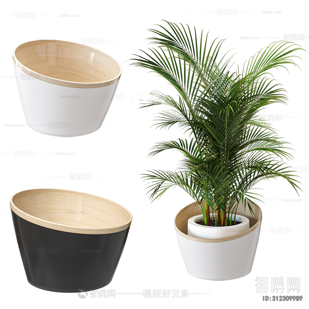 Modern Potted Green Plant