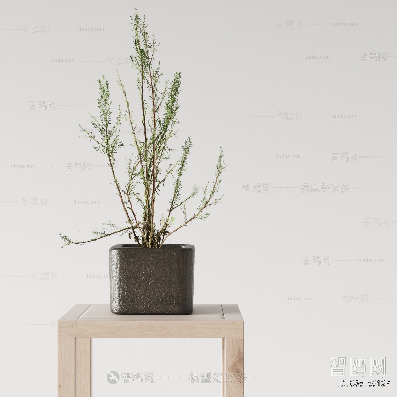 Modern Desktop Plant