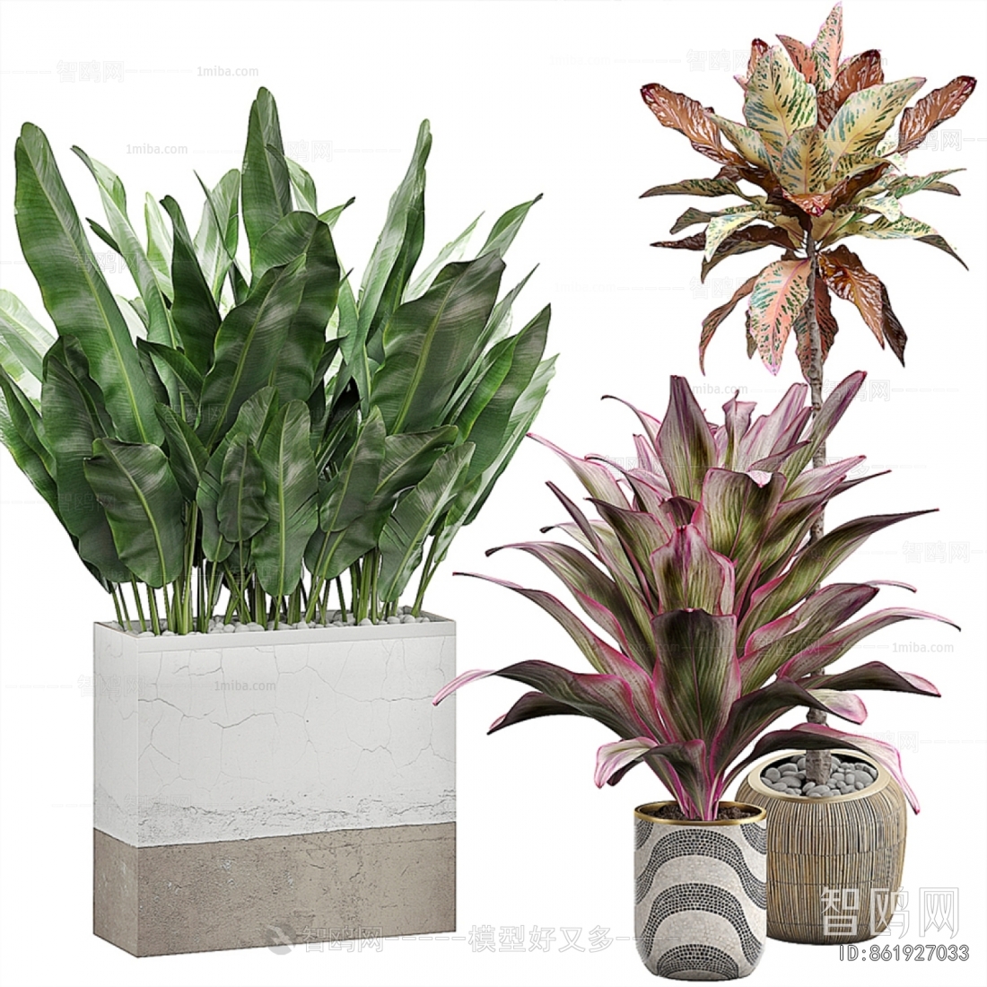 Modern Ground Green Plant Potted Plants