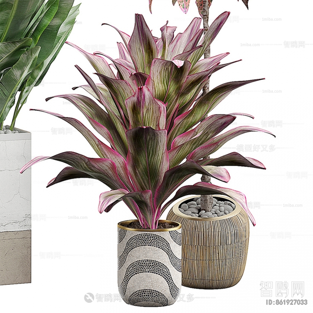 Modern Ground Green Plant Potted Plants