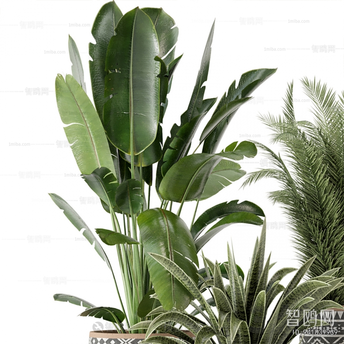 Modern Ground Green Plant Potted Plants