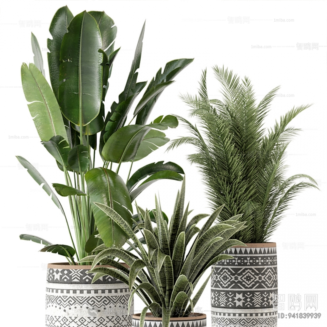 Modern Ground Green Plant Potted Plants