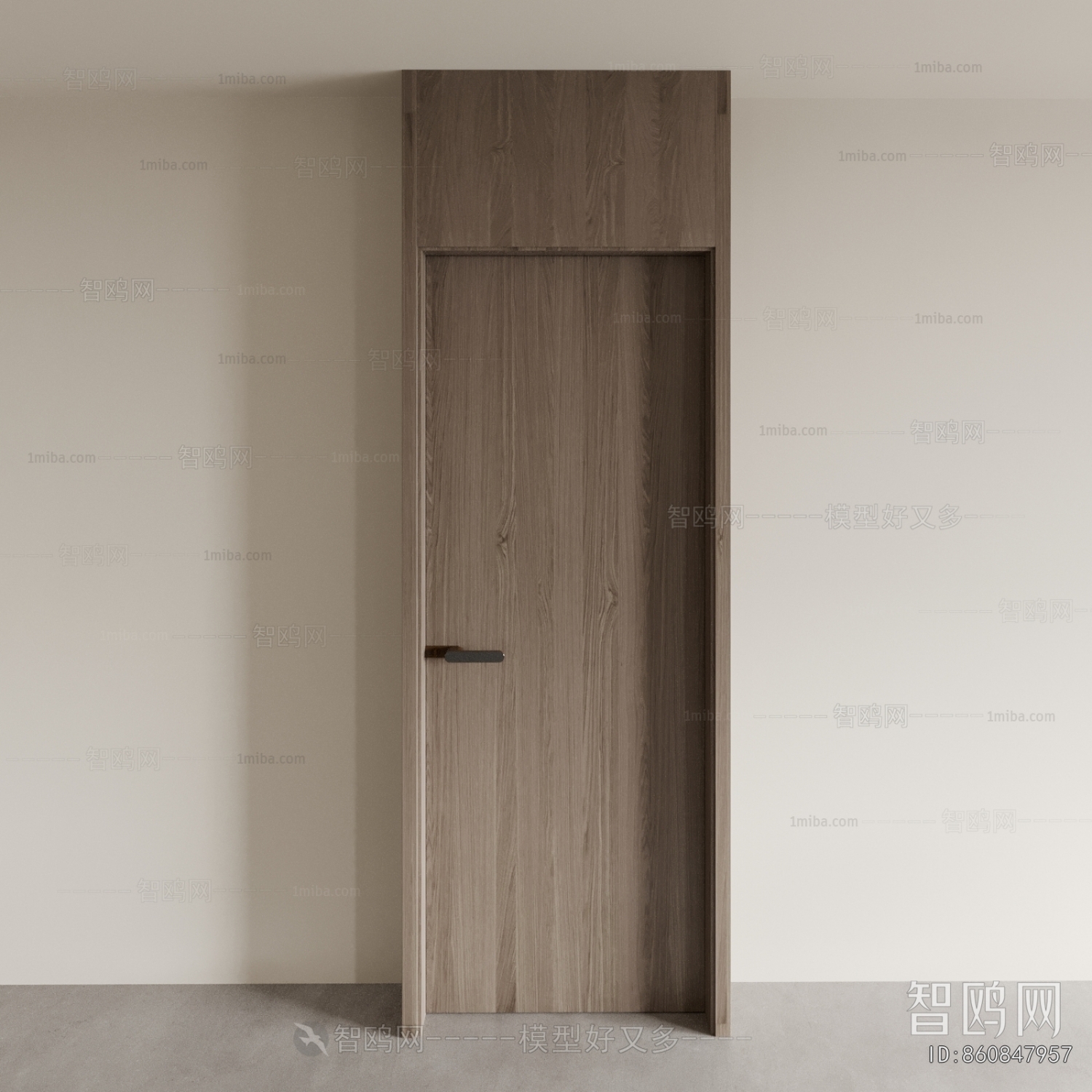 Modern Single Door