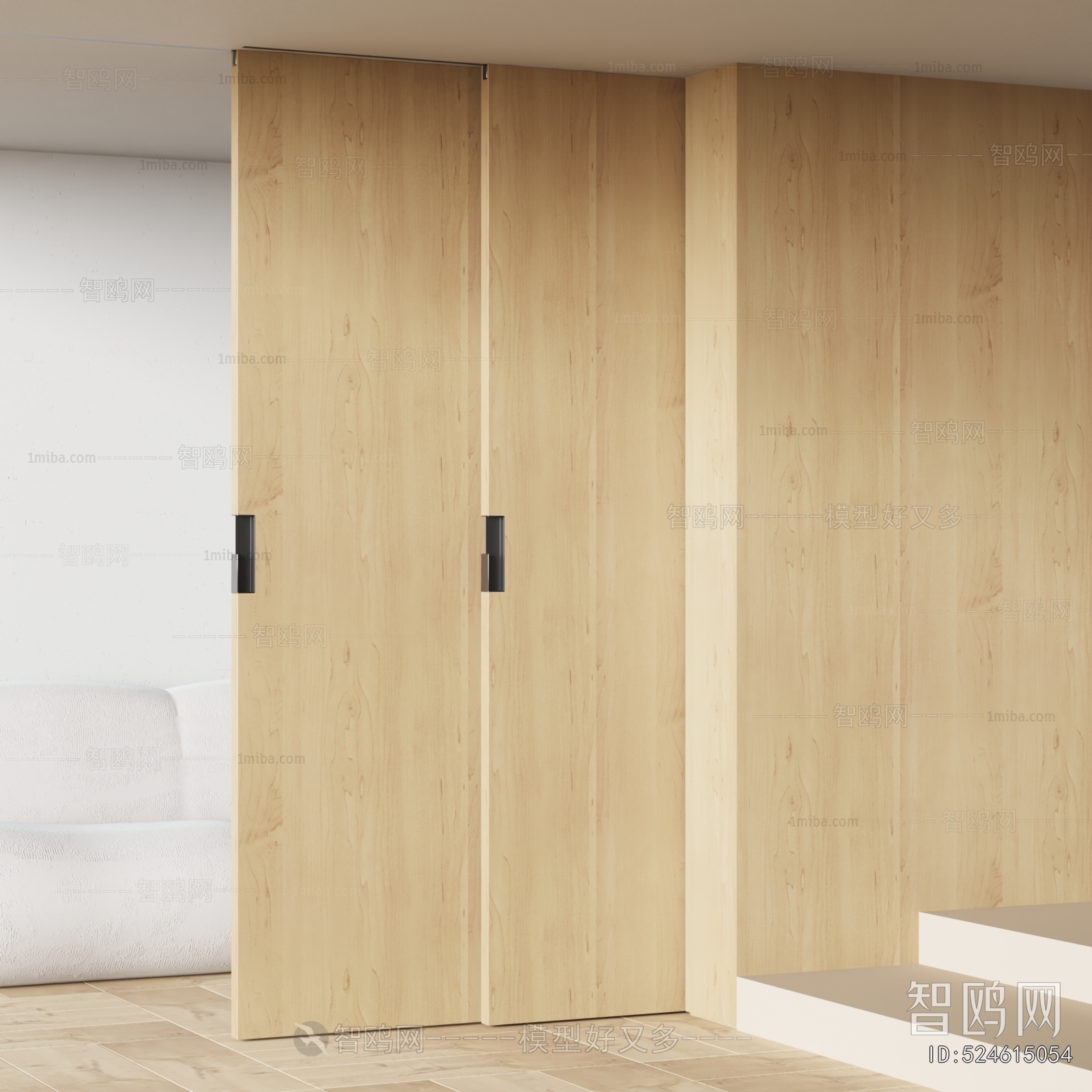 Modern Sliding Door