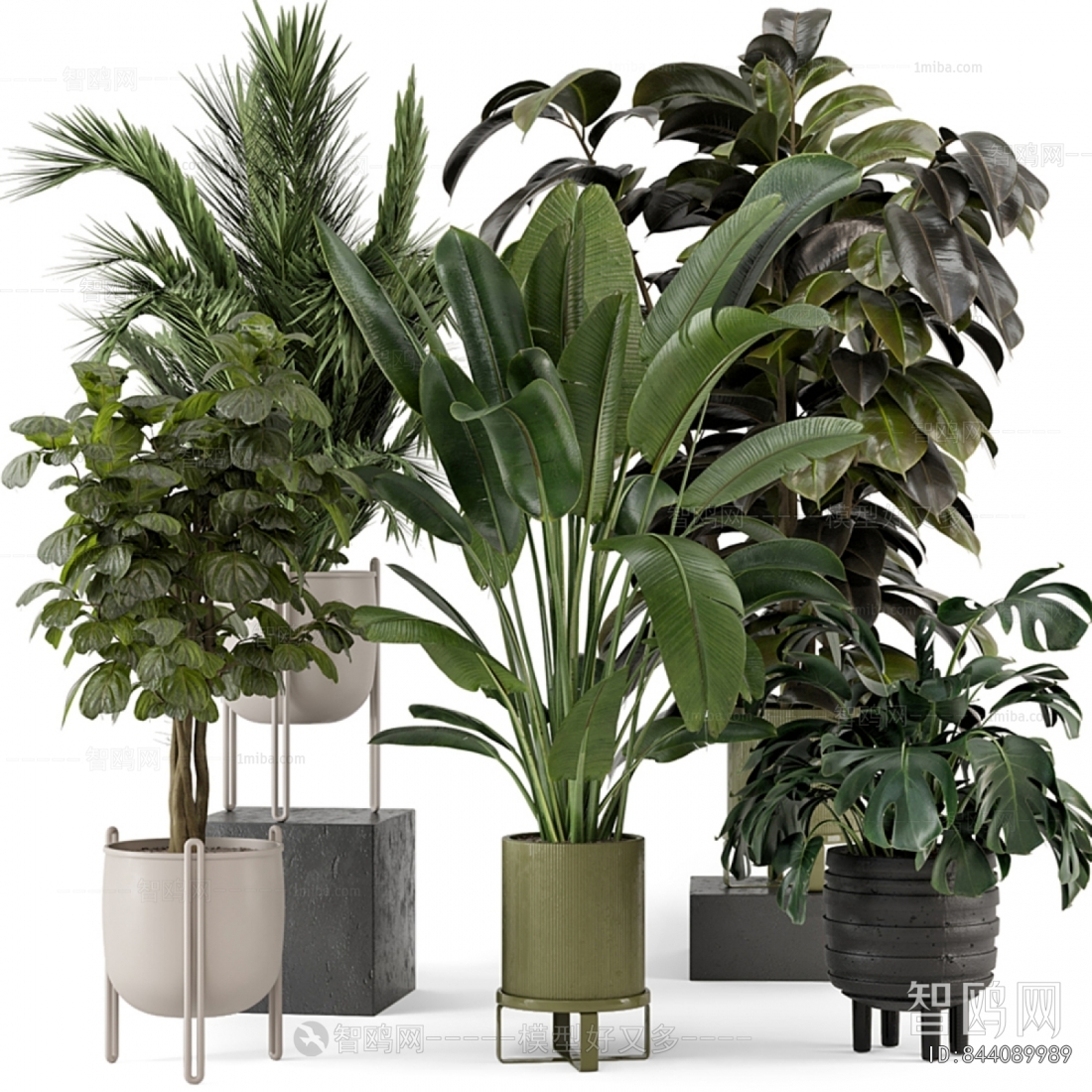 Modern Ground Green Plant Potted Plants