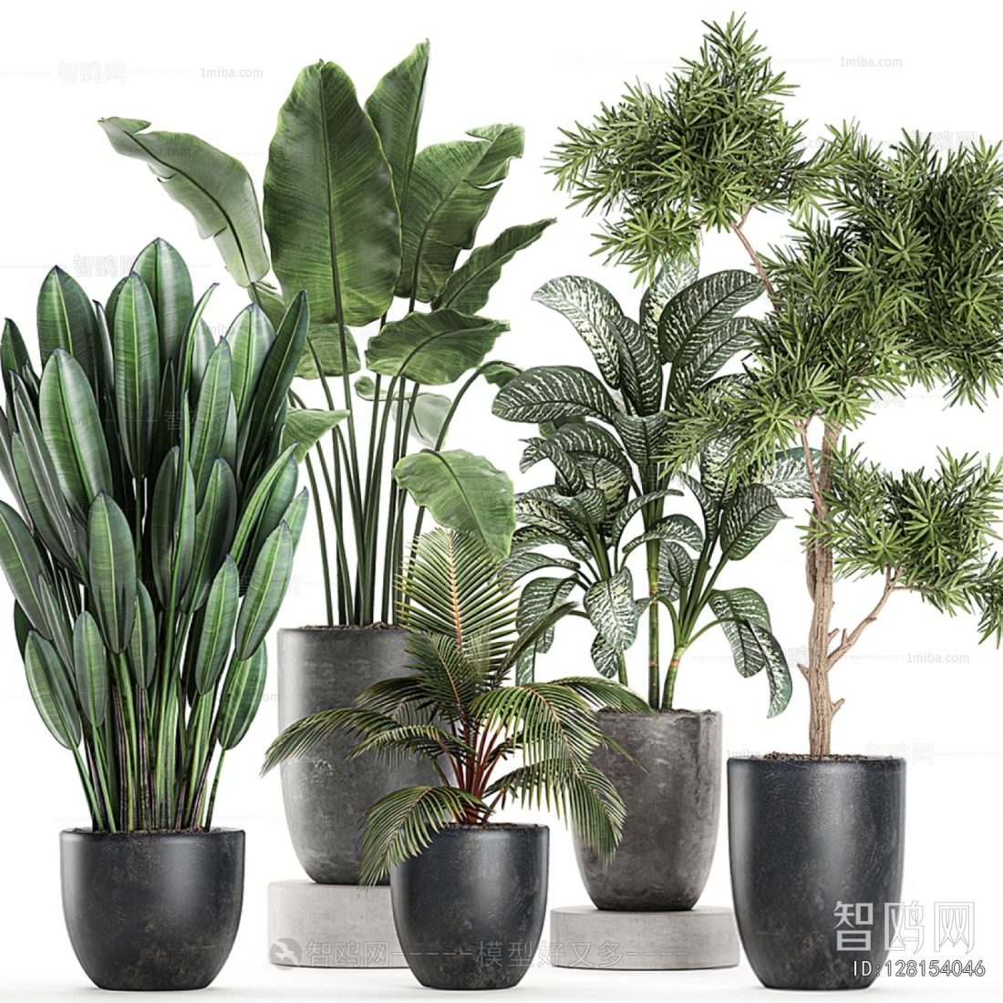 Modern Ground Green Plant Potted Plants