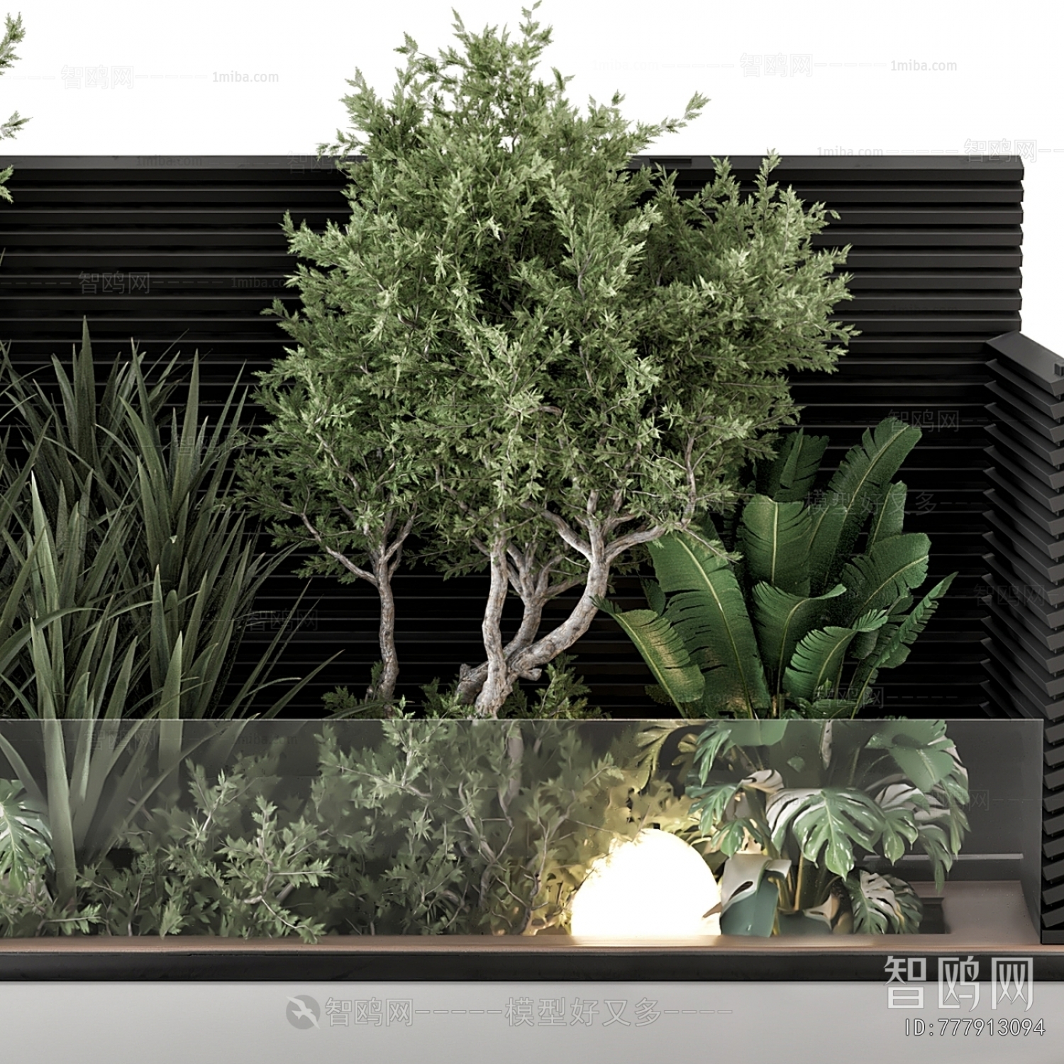 Modern Plant Landscaping