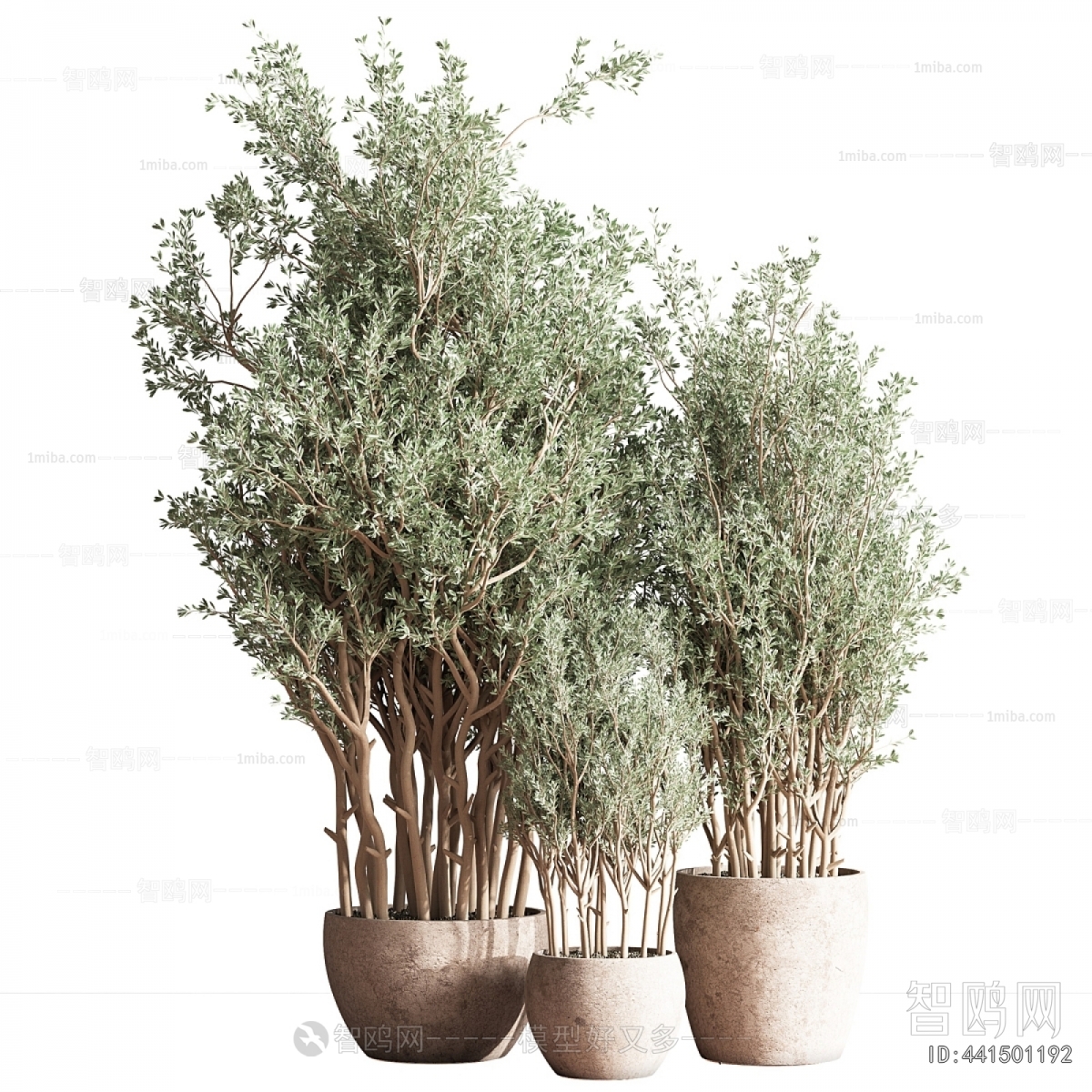 Modern Ground Green Plant Potted Plants