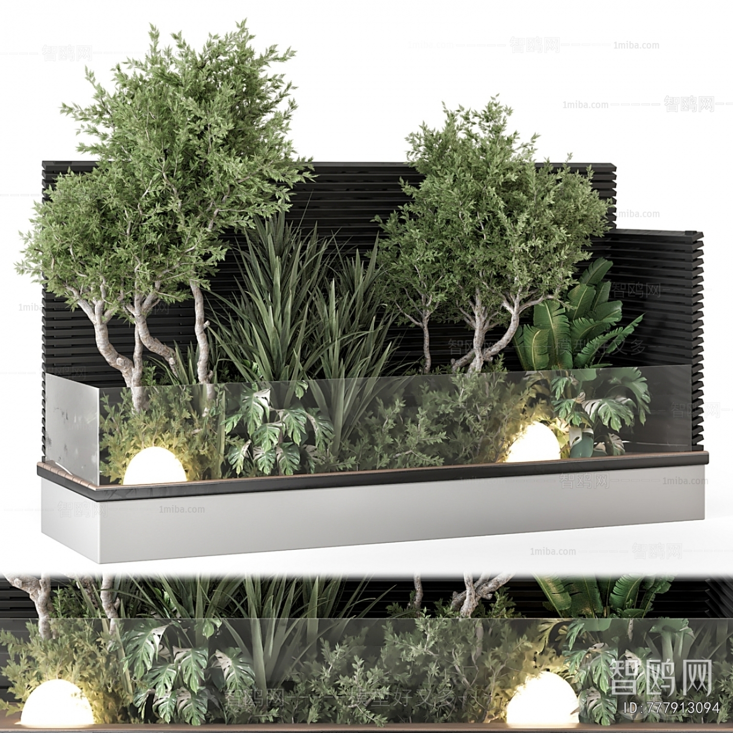 Modern Plant Landscaping