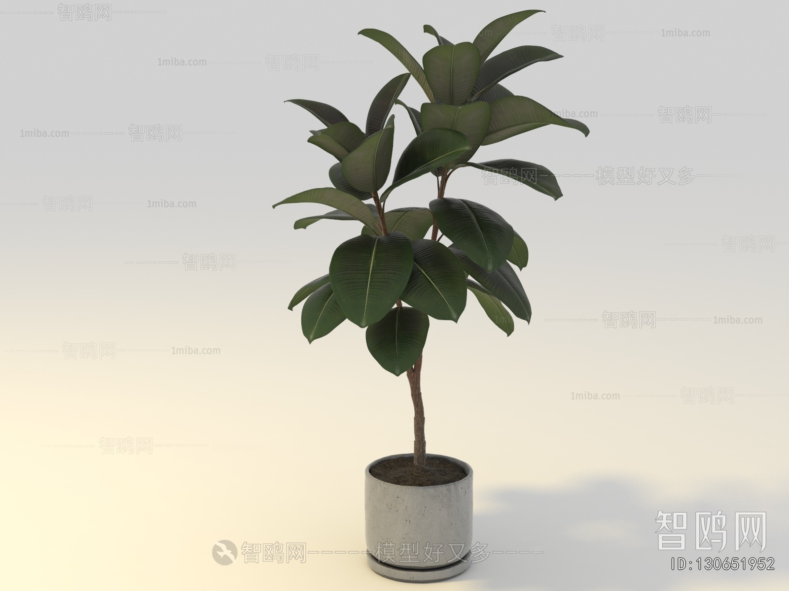 Modern Ground Green Plant Potted Plants