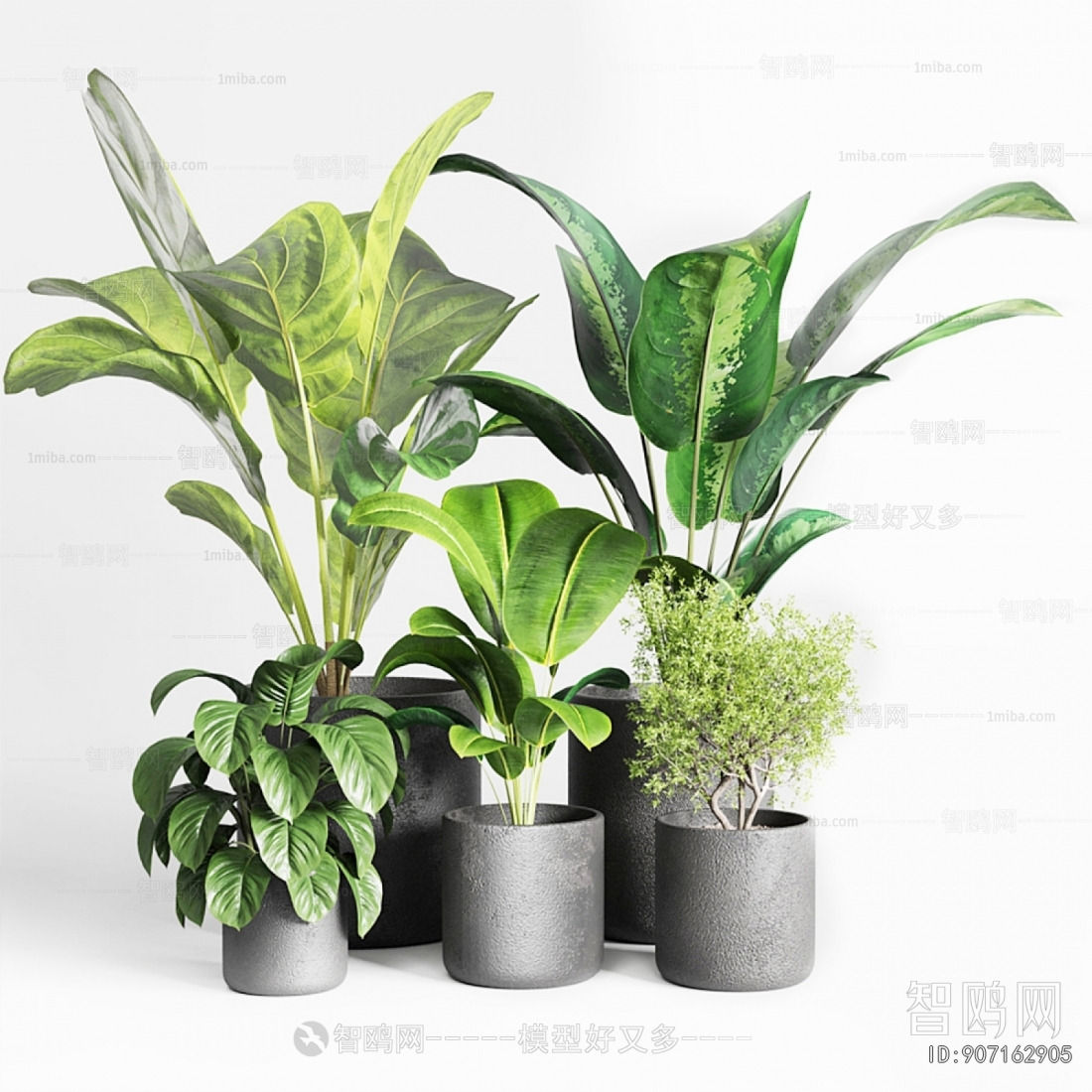 Modern Ground Green Plant Potted Plants