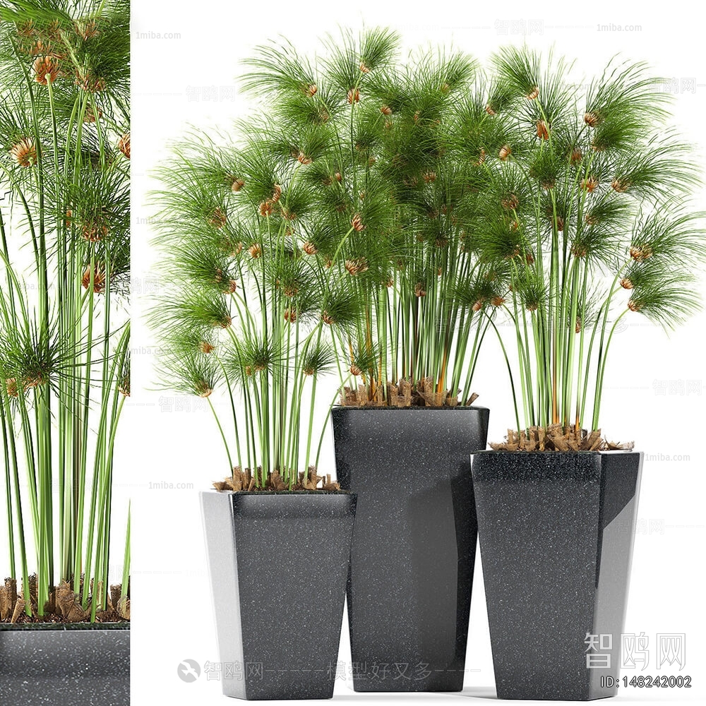 Modern Ground Green Plant Potted Plants