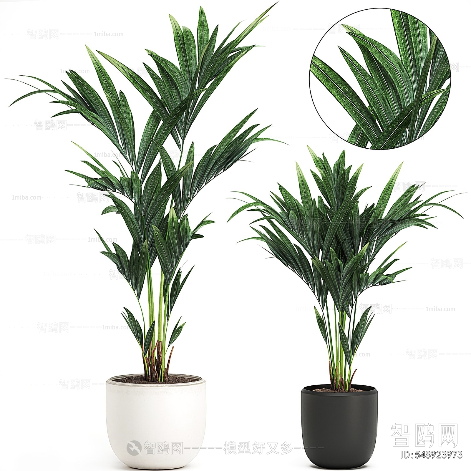 Modern Ground Green Plant Potted Plants