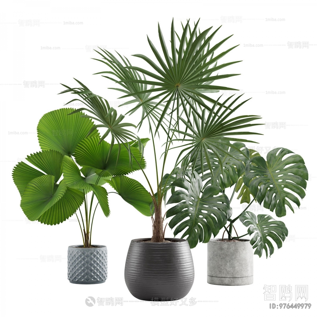 Modern Ground Green Plant Potted Plants