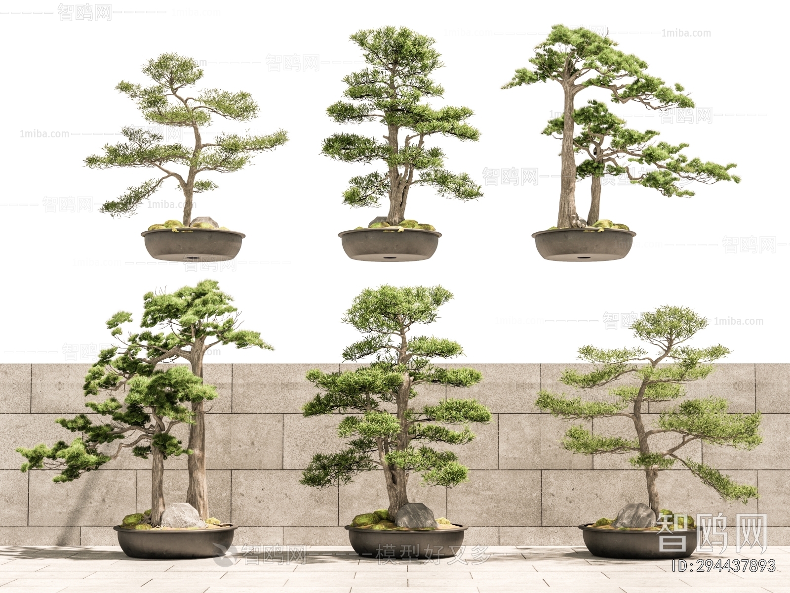 Modern Bonsai