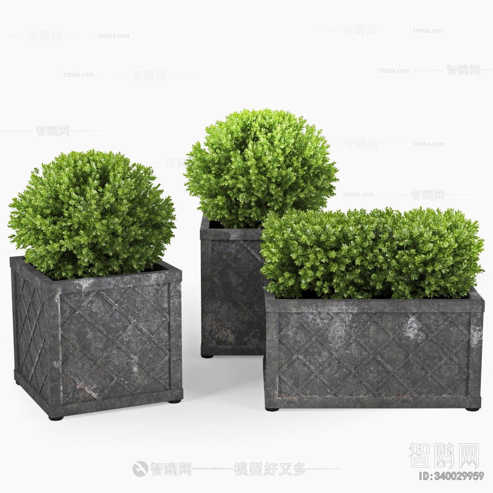 Modern Flower Bed, Flower Bowl, Flower Box