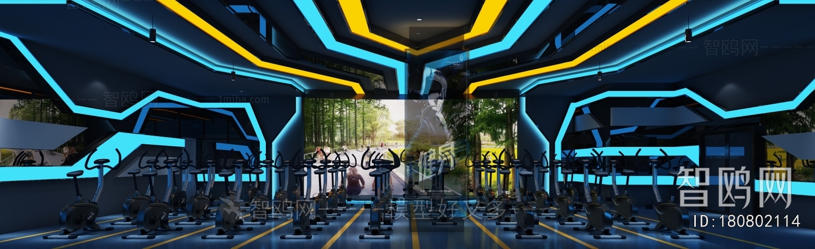 Modern Gym