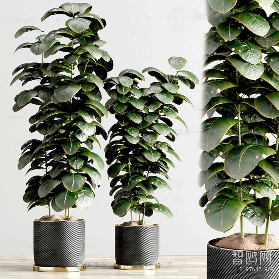 Modern Ground Green Plant Potted Plants