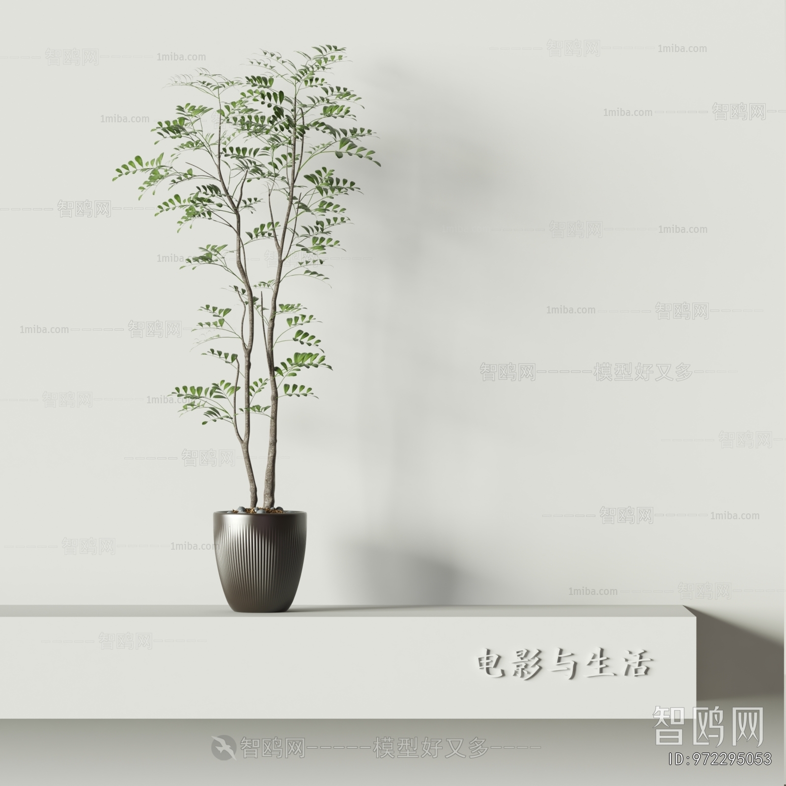 Modern Ground Green Plant Potted Plants