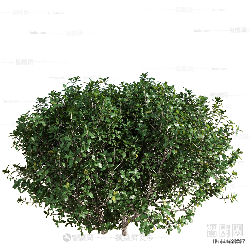 Modern Shrubbery