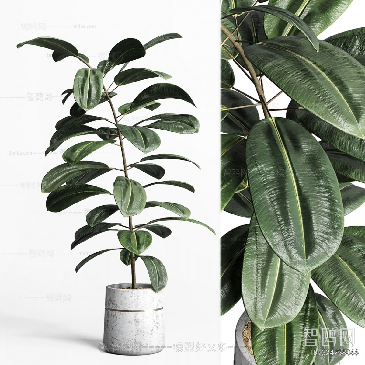 Modern Ground Green Plant Potted Plants