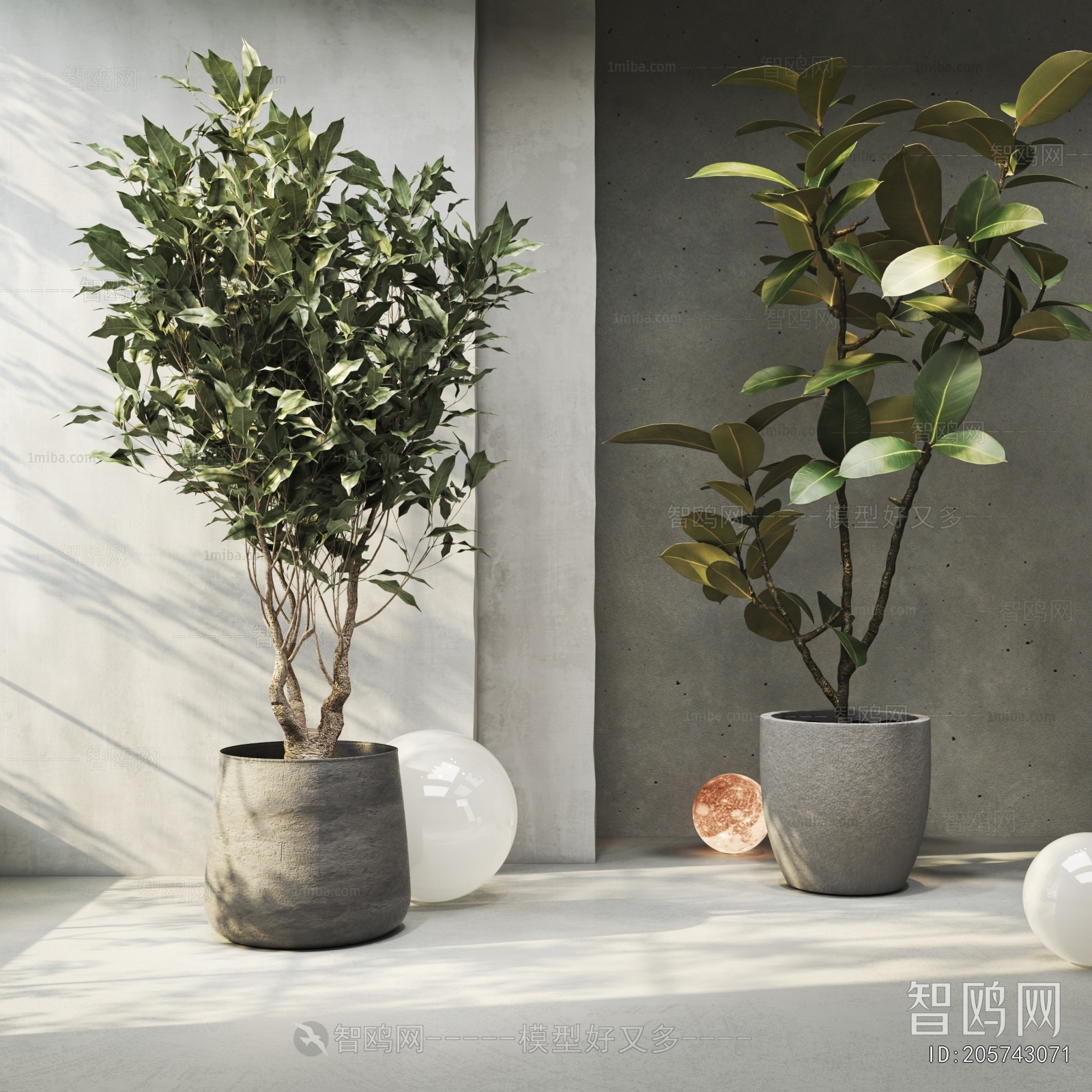 Modern Ground Green Plant Potted Plants