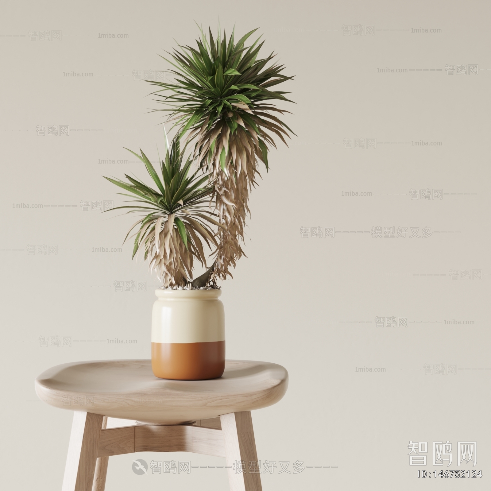 Modern Desktop Plant